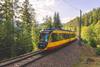 de Karlsruhe Bombardier Flexity tram-train