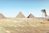 eg Pyramids and camel (Photo Simon Matzinger, Pixabay)