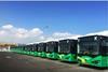 il-haifa-byd_buses.jpg