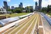 Sydney's Parramatta Light Rail green track