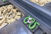 EPS (Photo Vossloh Fastening Systems GmbH)