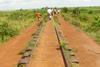 Railway track in Uganda in 2010.