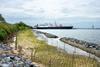 IMAGE 3 - NORFOLK SOUTHERN LIVING SHORELINE