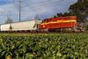 Santa Maria Valley Railroad (Photo Omnitrax)