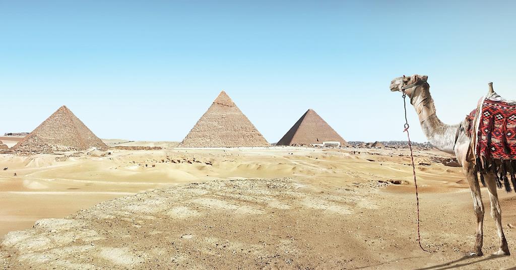 Metro to the pyramids contract awarded