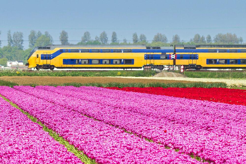 Nokia And Cellnex Awarded Prorail Telecoms Contracts News Railway Gazette International