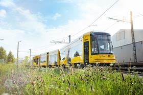 Dresden Alstom NGT DX DD Flexity tram (Photo DVB AG)