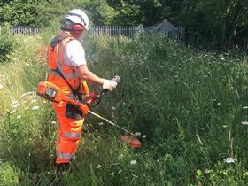 Railway strimmers trial
