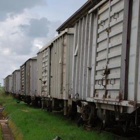 Wagons (Photo TAZARA)