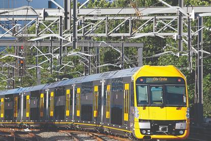 Suburban-Waratah-2-JKirk-edited