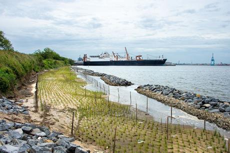 IMAGE 3 - NORFOLK SOUTHERN LIVING SHORELINE