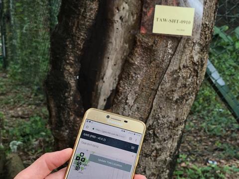 Lineside trees issued with electronic ID cards