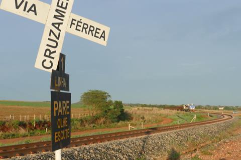 br-Ferrovie Norte Sul-transporte_madeira25