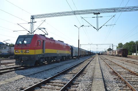 Freight train in North Macedonia (Photo: Toma Bacic)