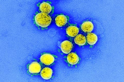 Coronavirus - National Institute of Allergy and Infectious Diseases