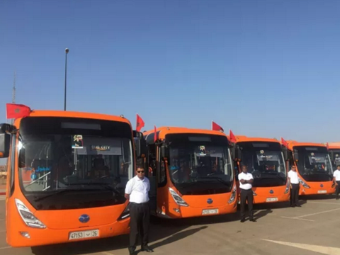 tn_ma-marrakech_trolleybuses.png