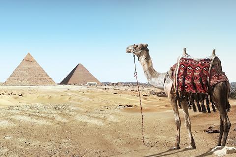 Pyramids and camel (Photo: Simon Matzinger/Pixabay)