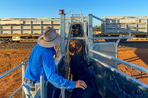 Watco cattle train Queensland