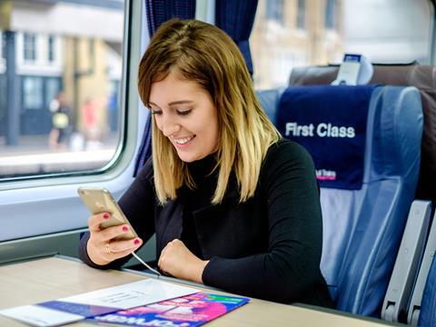 Passenger using a mobile phone.