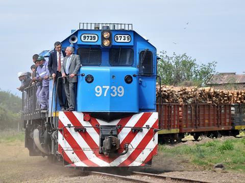 Belgrano train carrying timber from Chaco province.