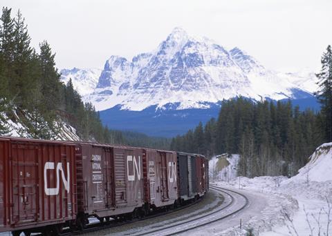 CN wagons (Photo: CN)