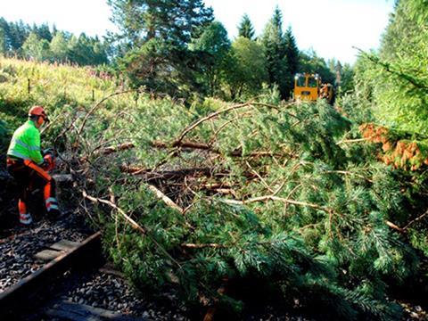 Vegetation clearance is scheduled to be finished for reactivation in mid-September.
