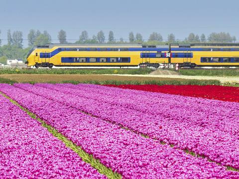 Dutch train (Photo: Abellio).