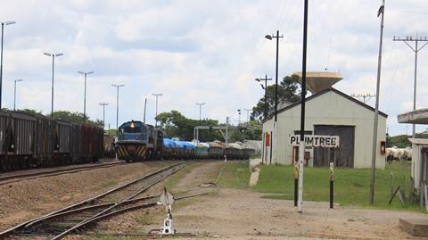 NRZ freight train at Plumtree