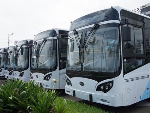 tn_byd-buses.jpg